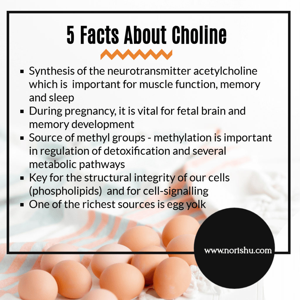 Choline is an essential nutrient for brain function and a key methyl donor