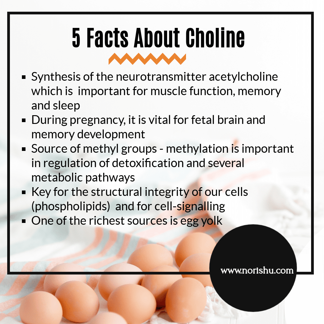 Choline Is An Essential Nutrient For Brain Function And A Key Methyl Donor